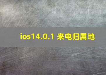 ios14.0.1 来电归属地